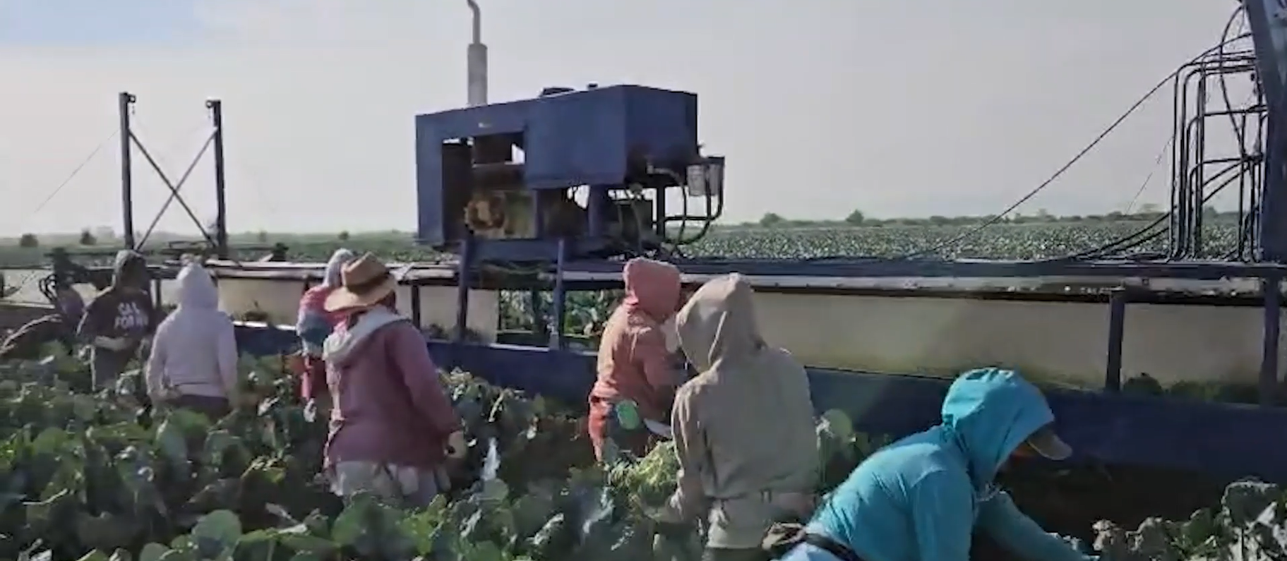 Harvest